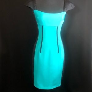 JAYGODFREY 100% Silk Fitted Dress Size 4